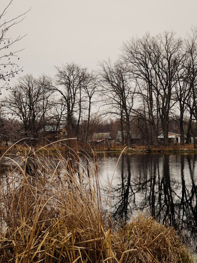 Photograph by Анастасия Терехова