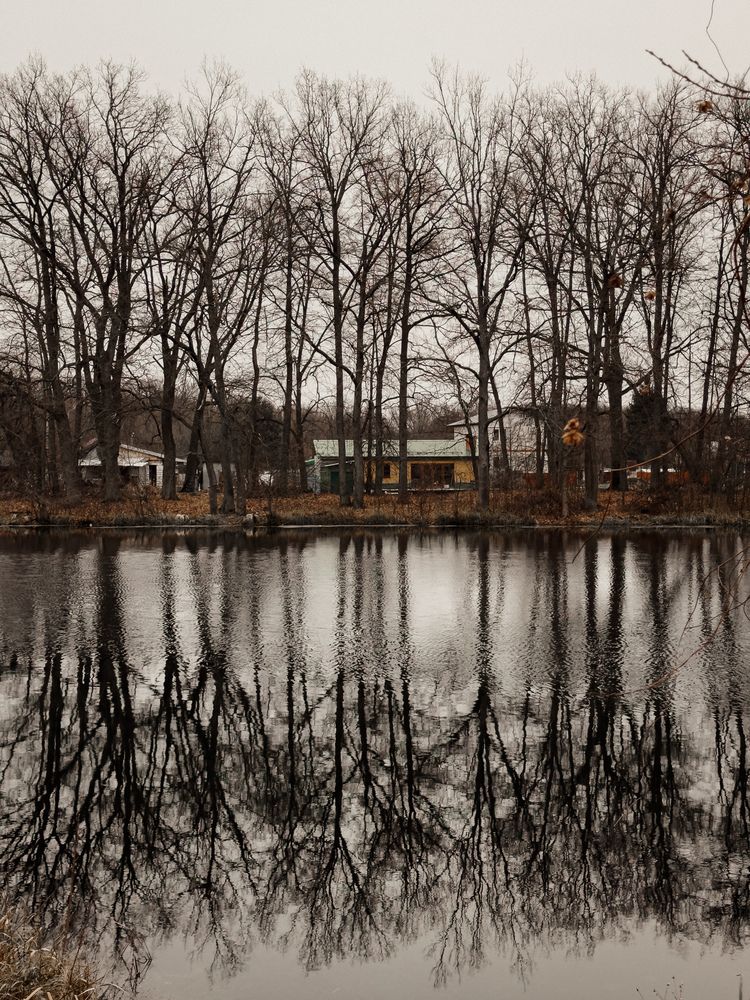 Photograph by Анастасия Терехова