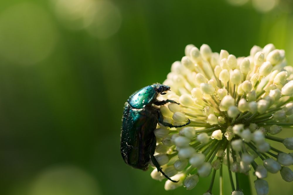 Photograph by Ольга Баталина