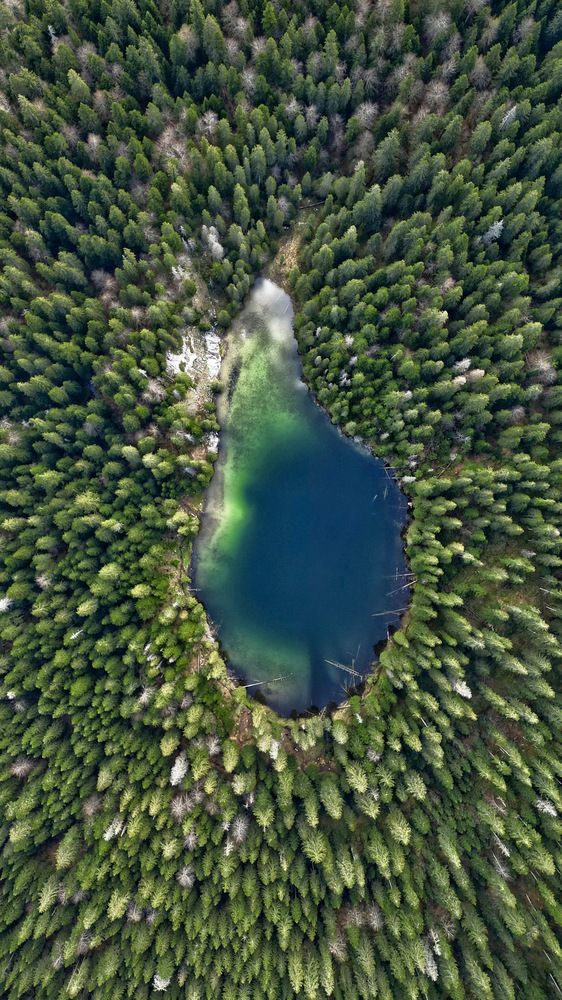 Photograph by Pietro Corredor Greco