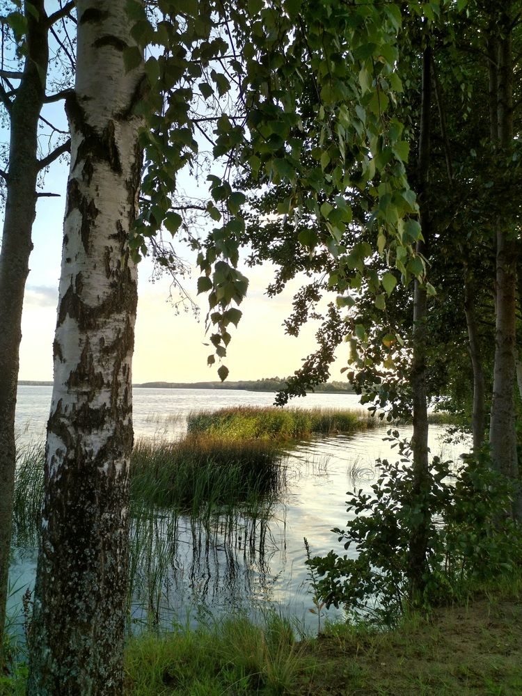 Photo #13245219