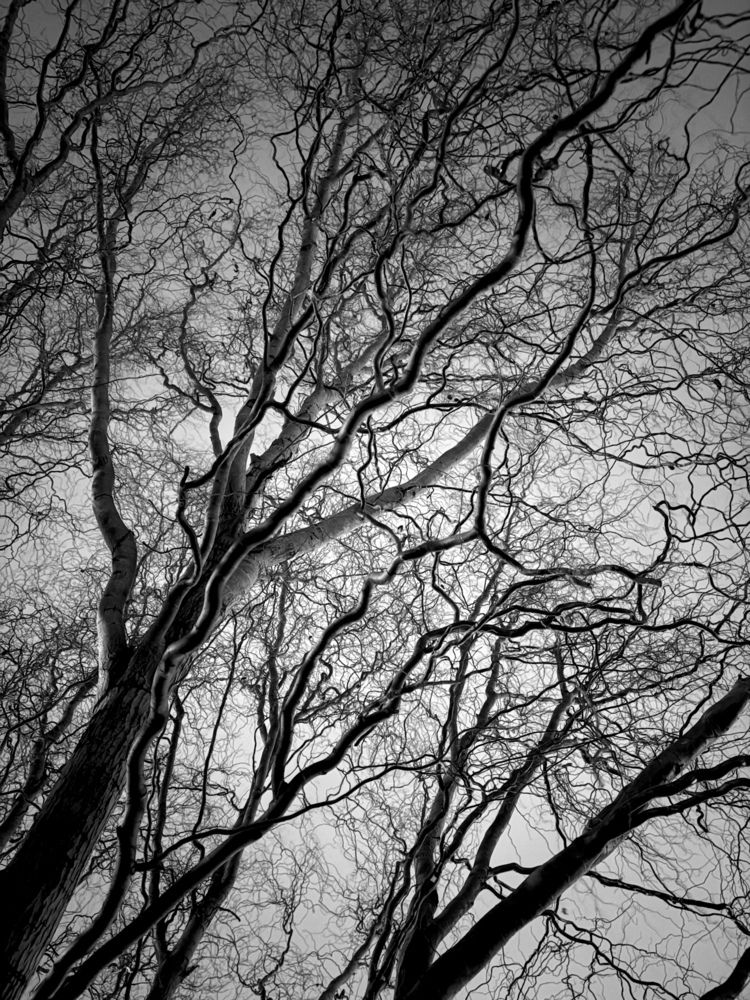 Photograph by Роман Садовский