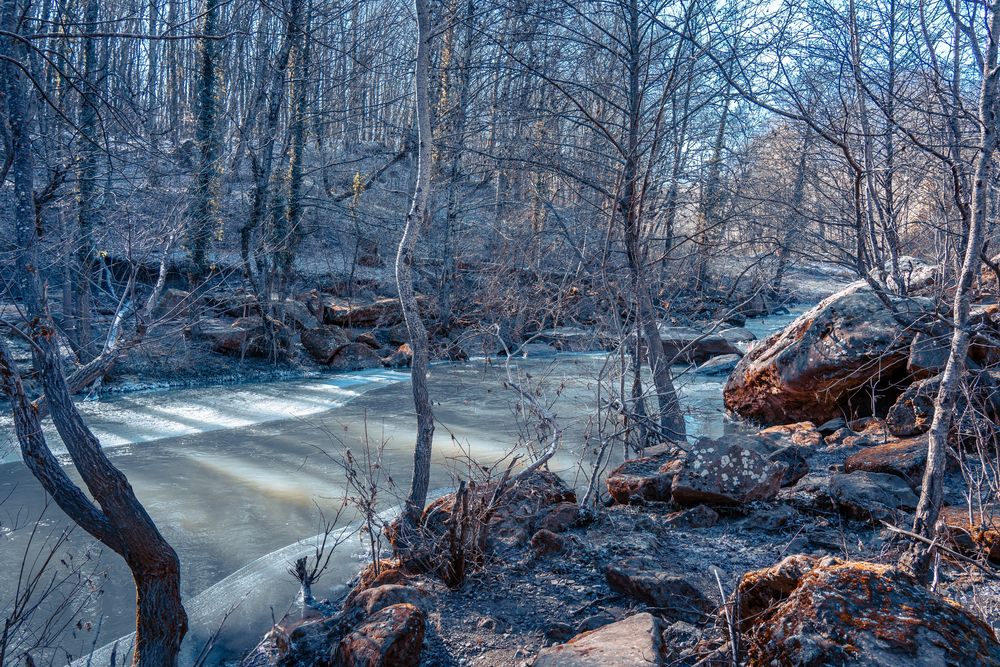 Фотография автора Вадим Коваленко