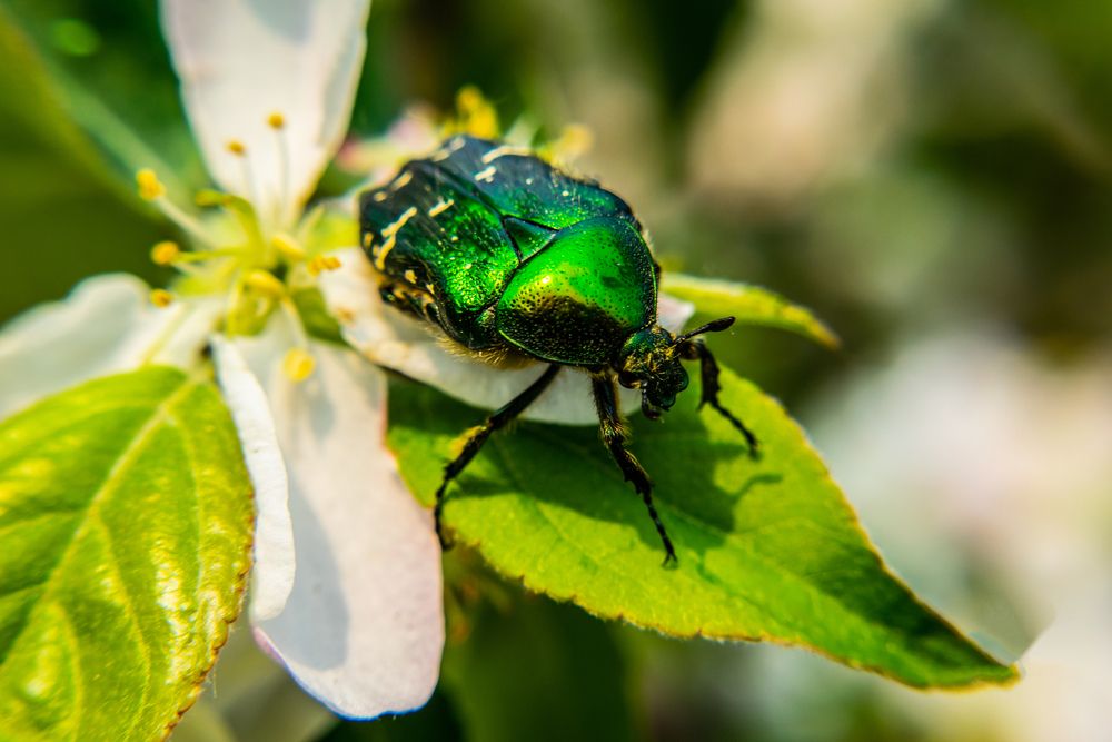 Photograph by Дмитрий Анисимов