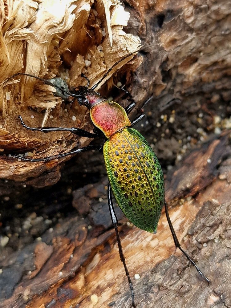 Photograph by Мария Стремина