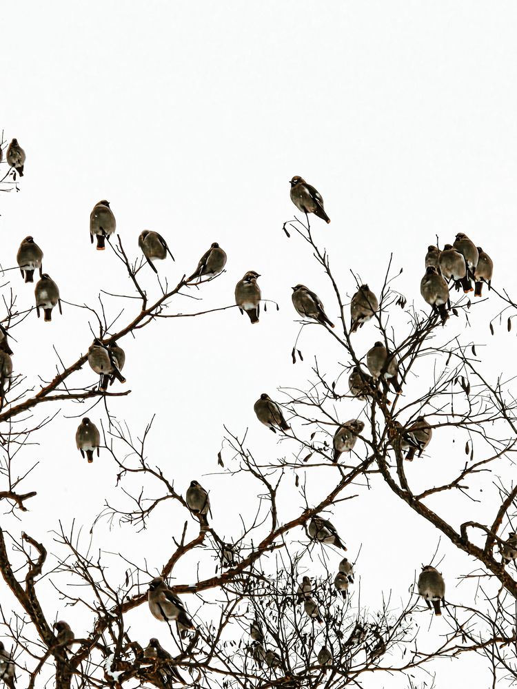 Photograph by ANNA MATSUKEVICH