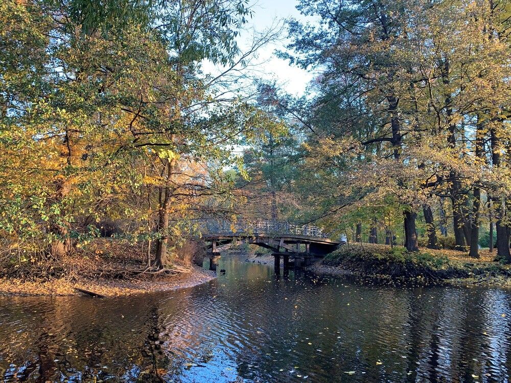 Фотография автора Natalia Kuzmina