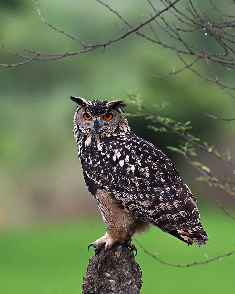 Photograph by AmanPreet kaur saluja