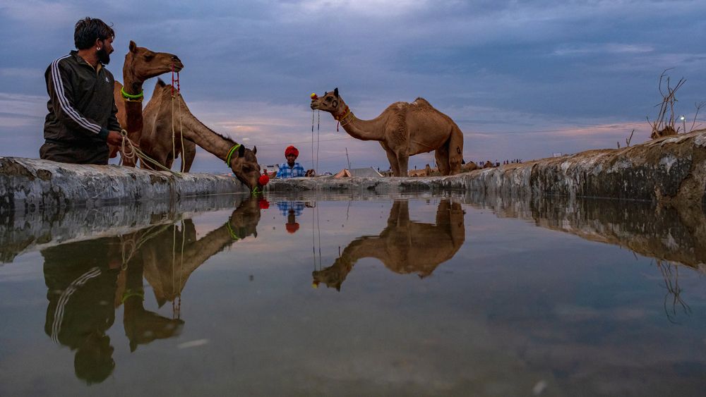 Photograph by Anuj Medhavi