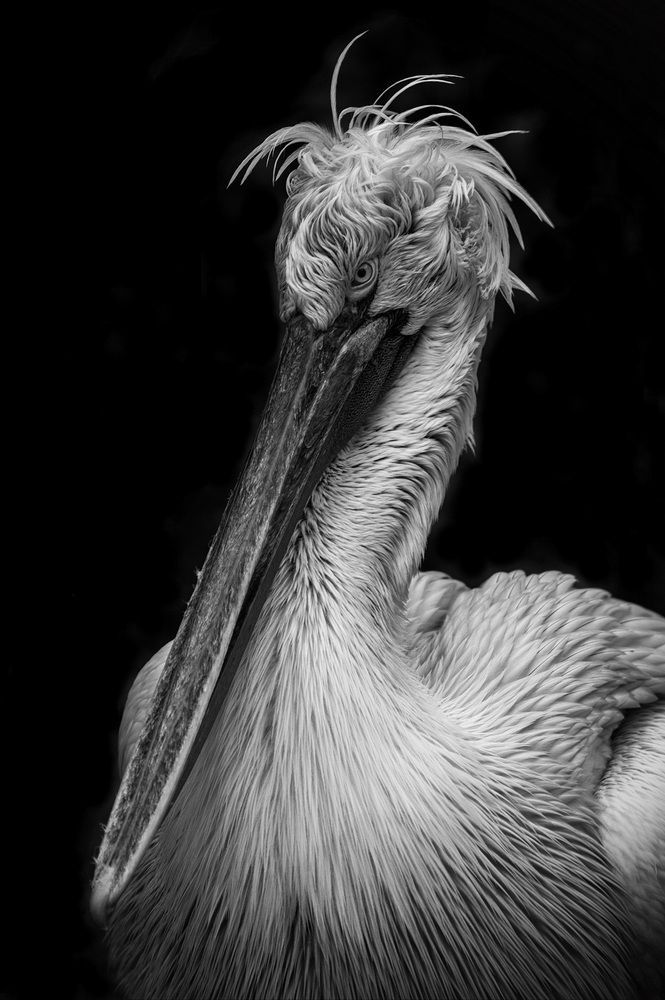 Photograph by Арсен Алабердов