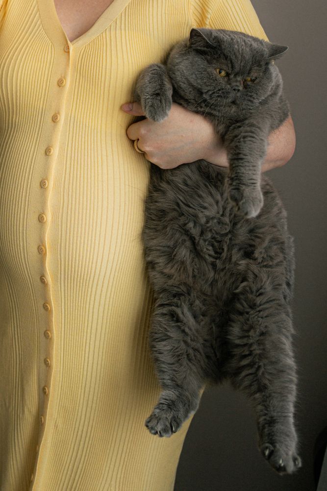 Photograph by Алина Морозова