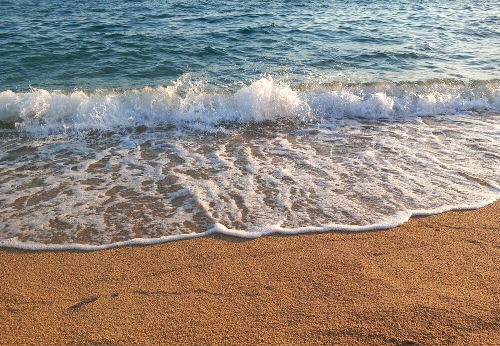 Photograph by Любовь Войводич