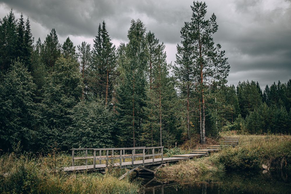 Фотография автора Андрей Городецкий