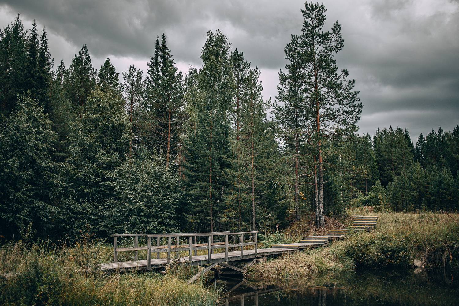 Фотография #13245457