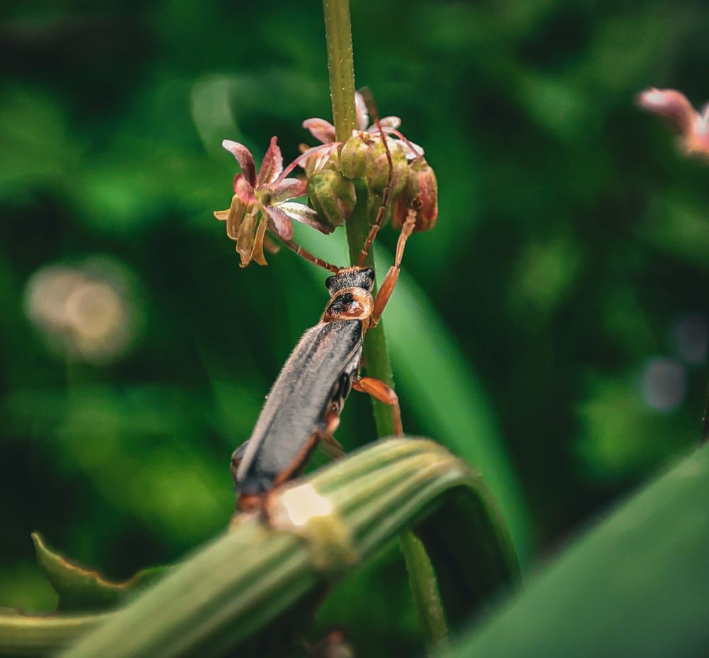 Photograph by Екатерина Никитина