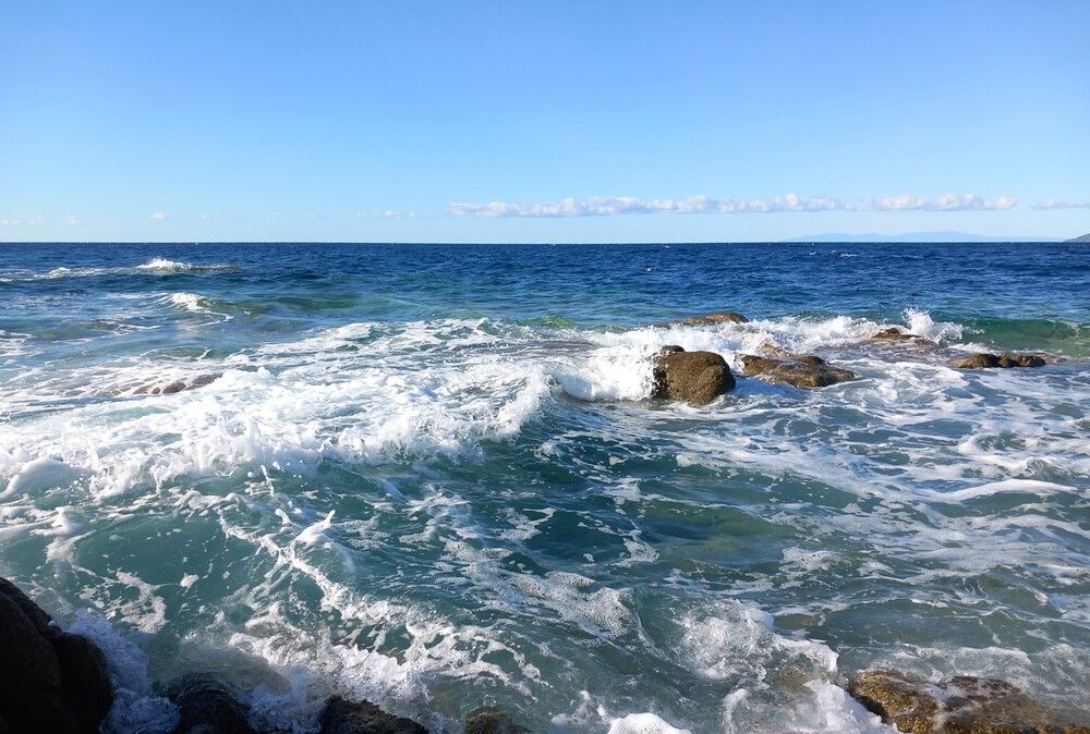 Photograph by Любовь Войводич