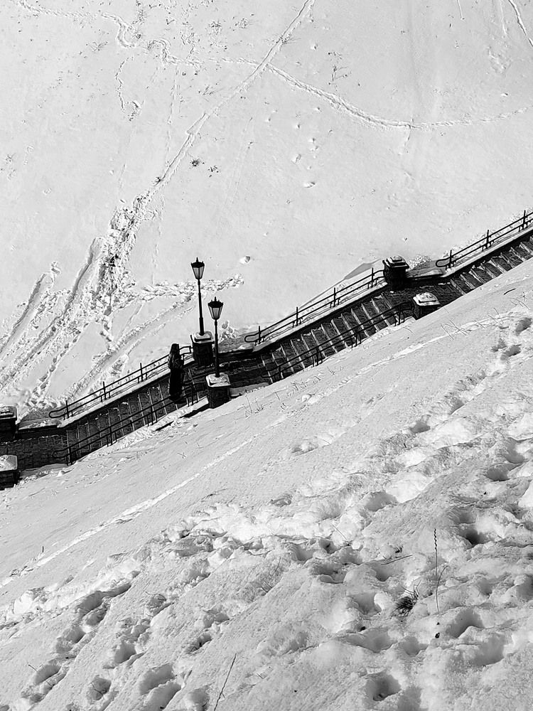 Фотография автора Нестеренко Светлана