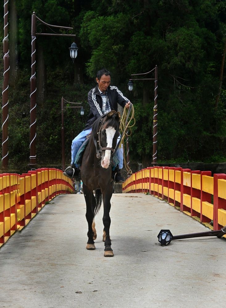 Photo #13245514