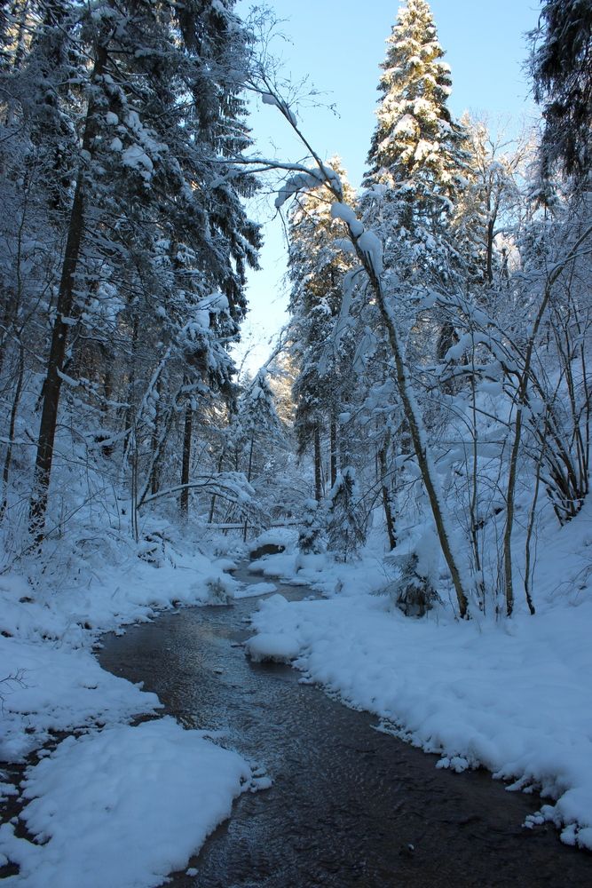 Photograph by Olga Bagaeva