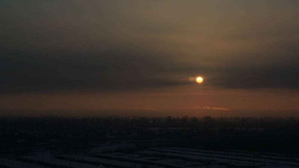 Photo #13245527