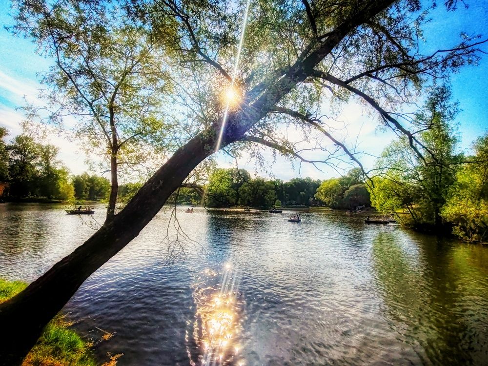 Photograph by Дайана