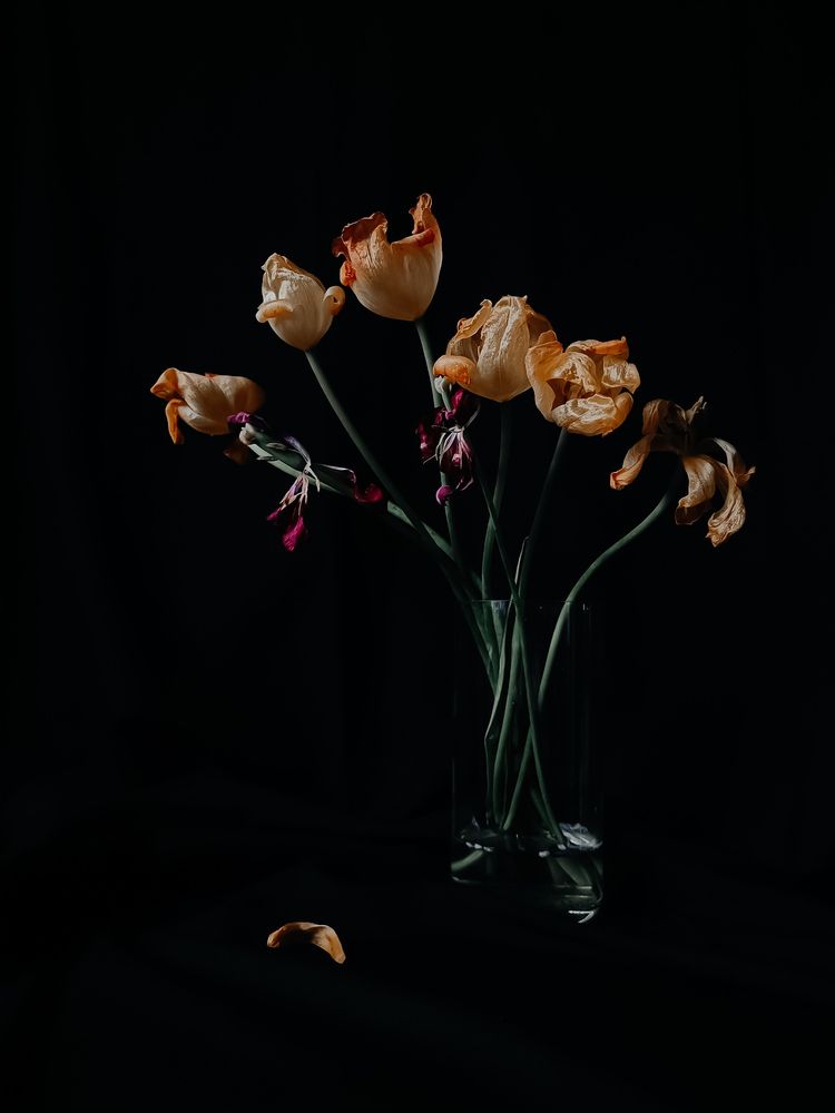 Photograph by Ирина Романовская