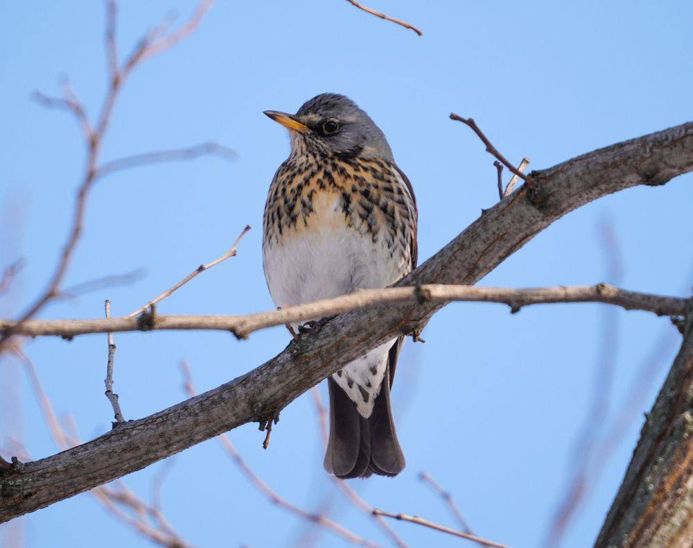 Photograph by Евгений Суммер