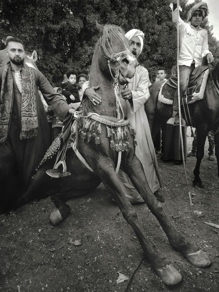 Photograph by Engy Farahat