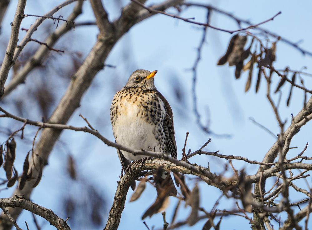 Photograph by Евгений Суммер