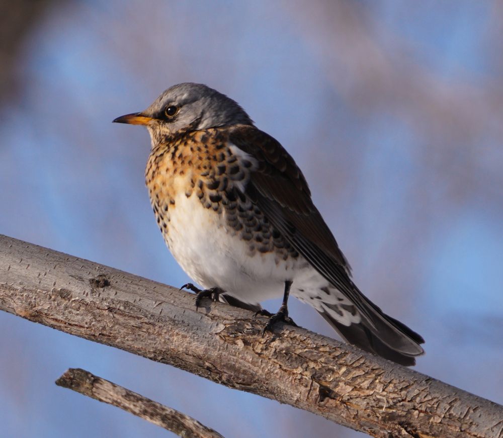 Photograph by Евгений Суммер