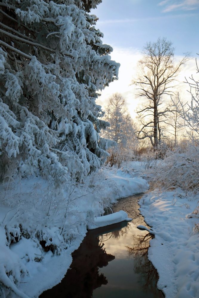 Photograph by Екатерина Зязина