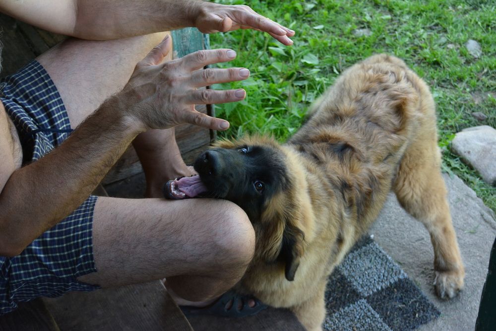 Photograph by Анна Александровна