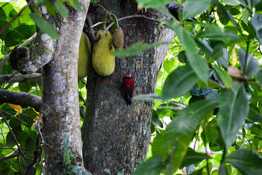 Photograph by Анна Александровна