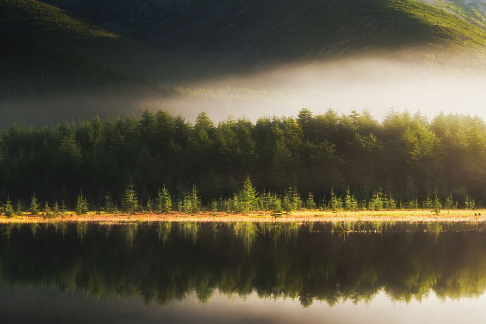 Photograph by Наталия Полякова