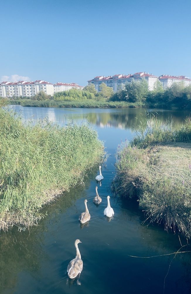 Photograph by Юлия Новичихина