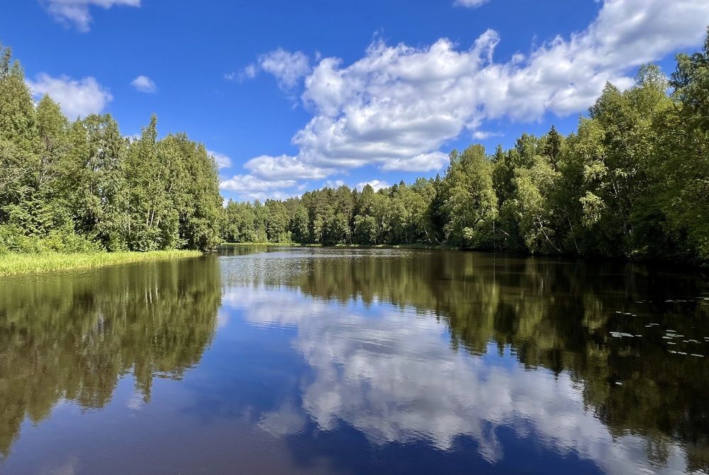Фотография автора Олег Травин