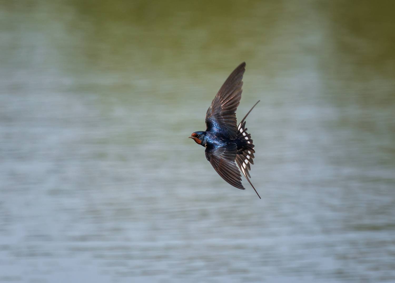 Фотография #13245809