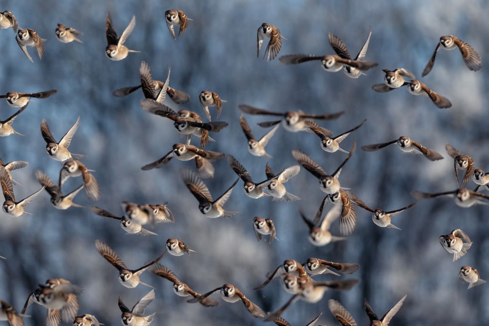 Photograph by Наталья