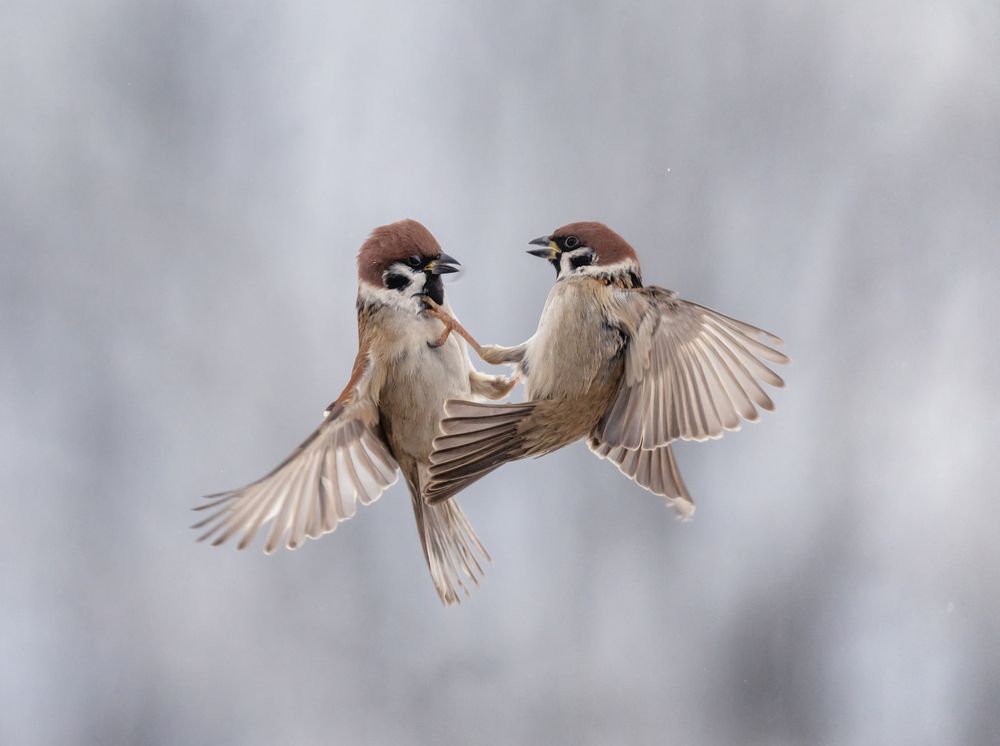 Photograph by Наталья