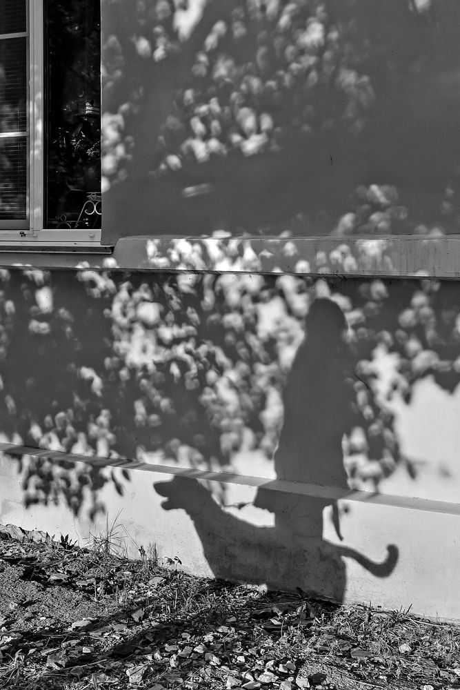 Photograph by Яна Быкова