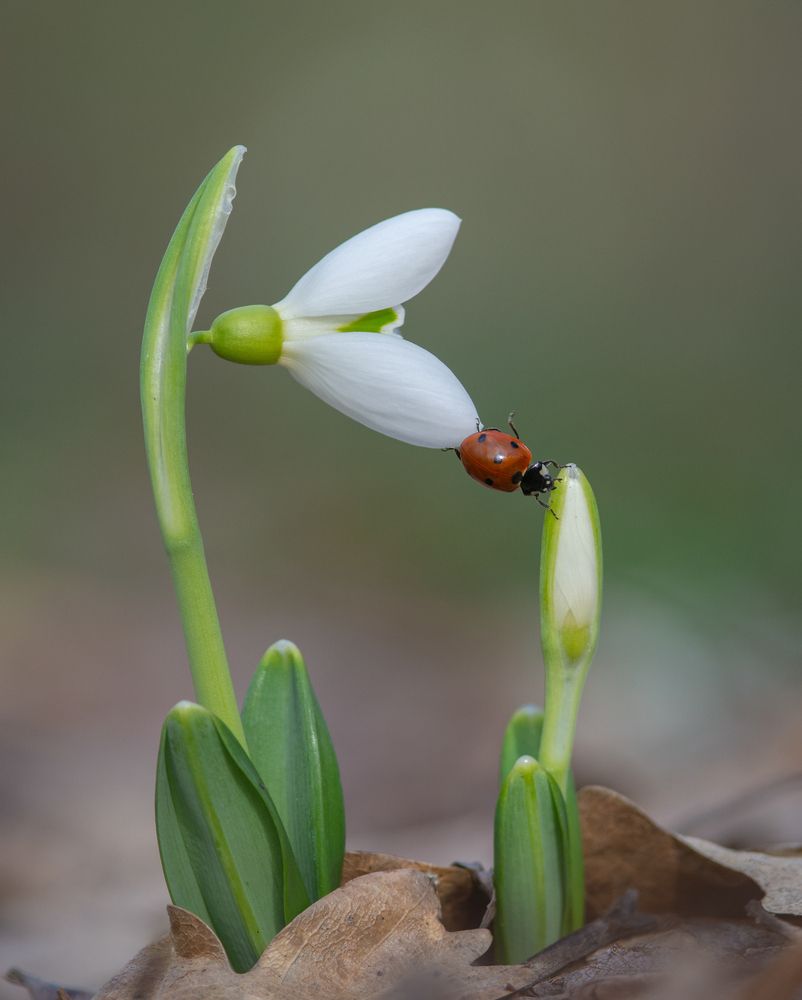 Photograph by Дмитрий Журавлёв
