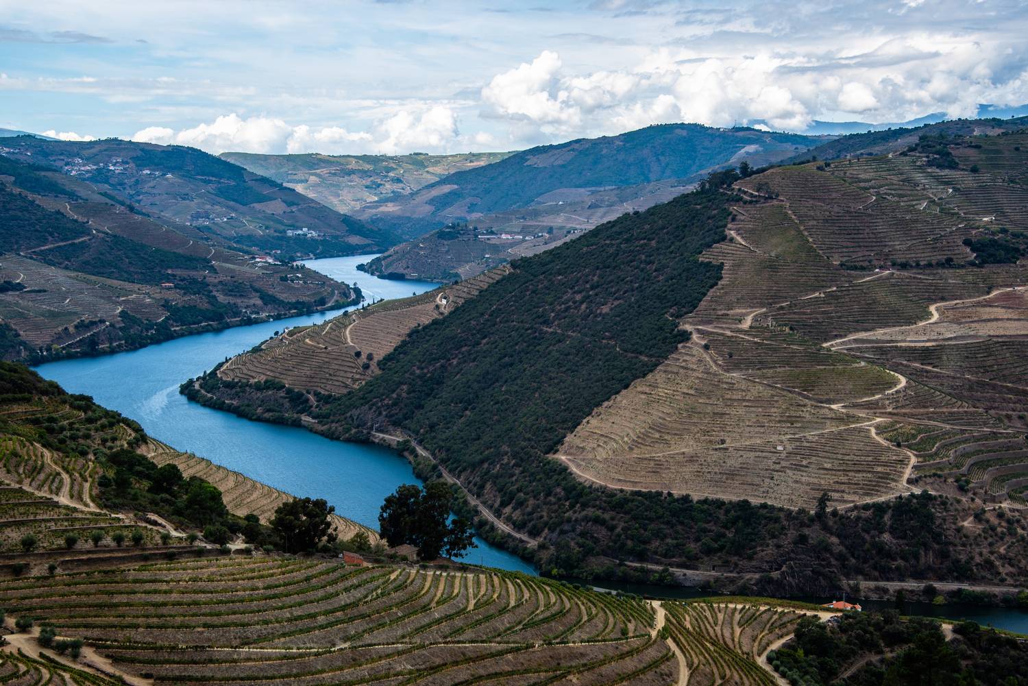 Cañones del río Duero