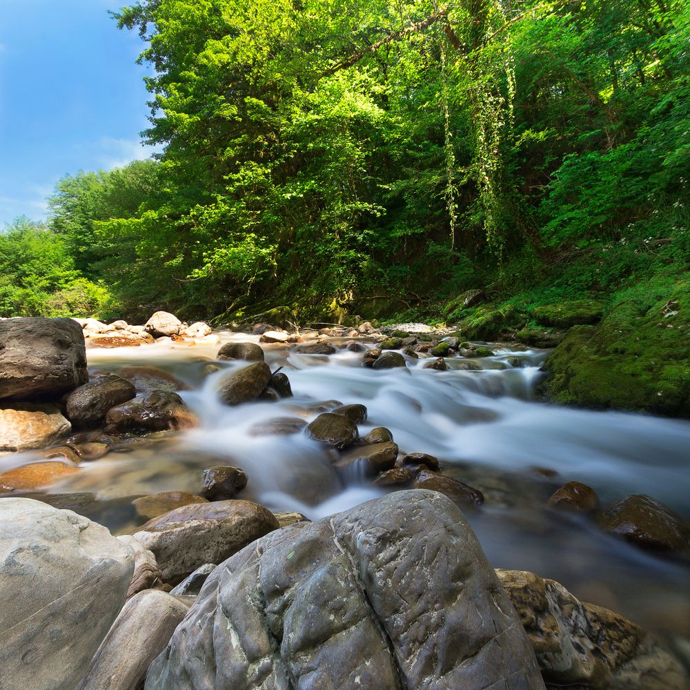 Photograph by Максим Шелякин