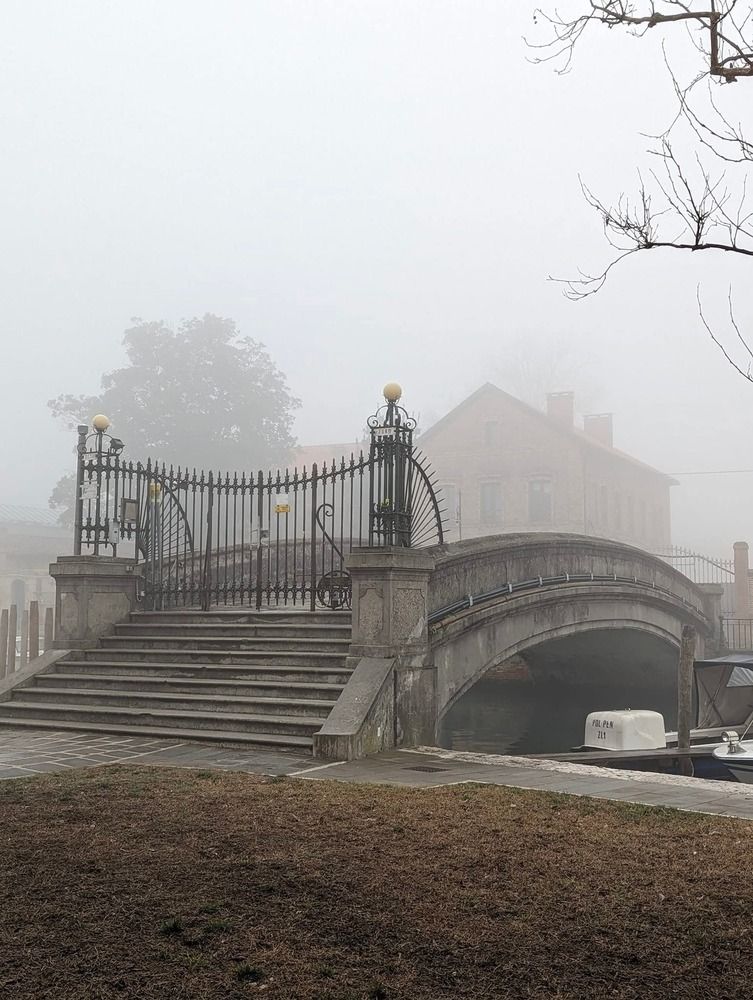 Photograph by Julie Teague