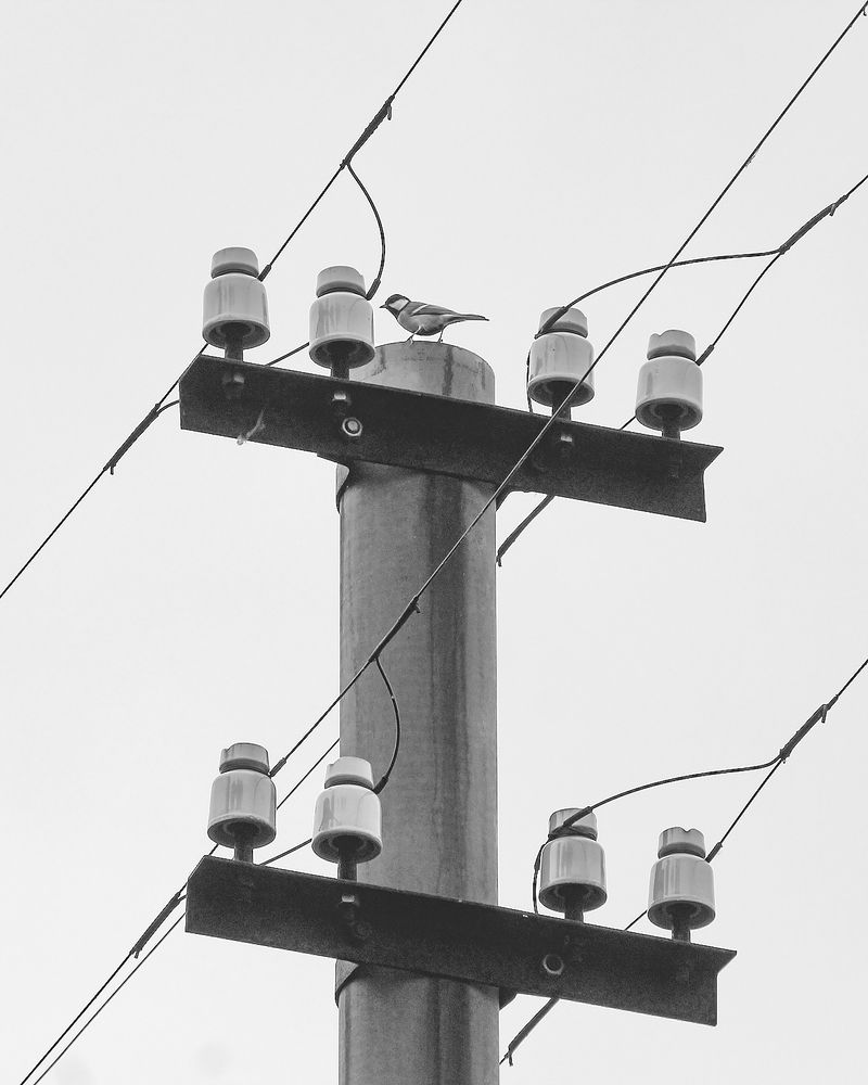 Photograph by Ирина Владимировна Фурсова
