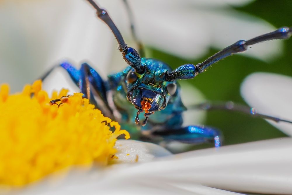 Photograph by Роман Приходько