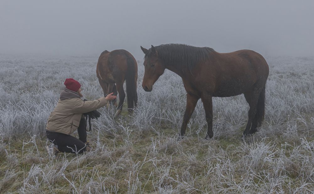 Photograph by ПУЗЕНКО ДМИТРИЙ