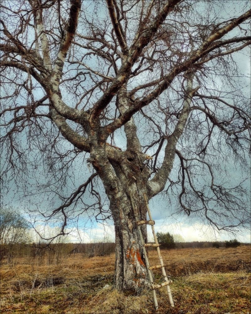 Photograph by Мария Самохвалова