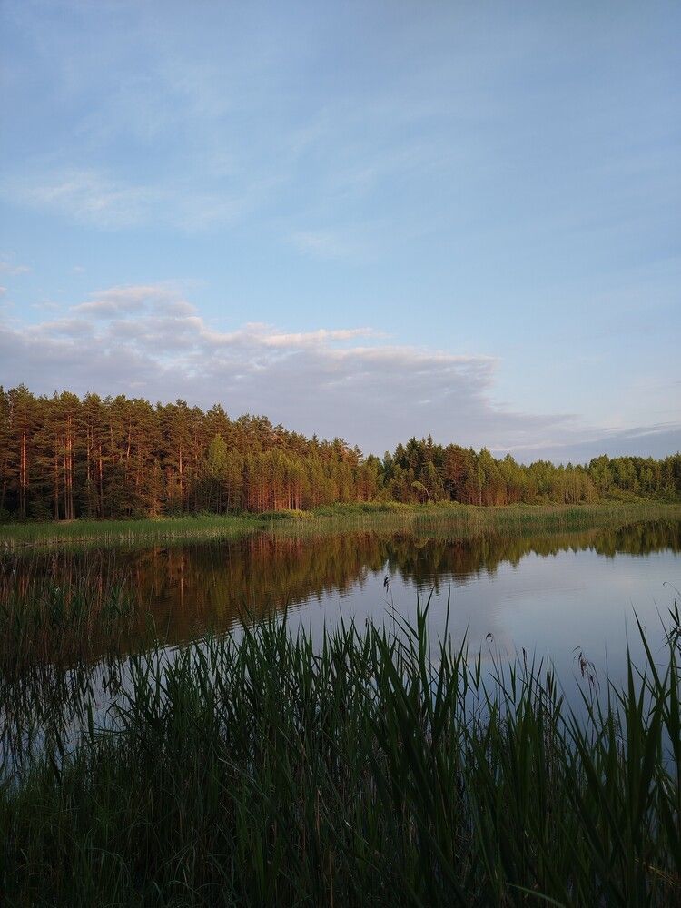 Фотография автора Евгения