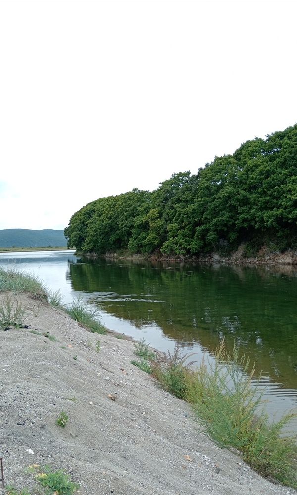 Photo #13245974